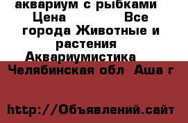 аквариум с рыбками › Цена ­ 15 000 - Все города Животные и растения » Аквариумистика   . Челябинская обл.,Аша г.